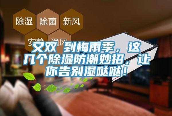 又雙叒到梅雨季，這幾個(gè)除濕防潮妙招，讓你告別濕噠噠！