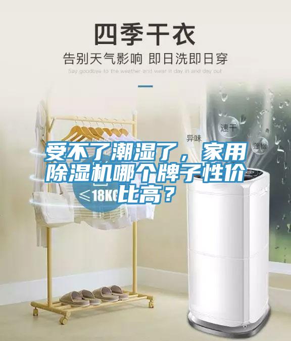 受不了潮濕了，家用除濕機哪個牌子性價比高？