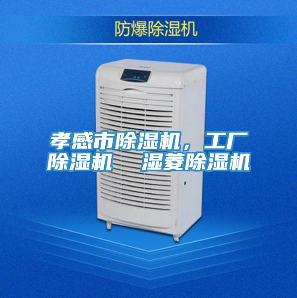 孝感市除濕機，工廠除濕機  濕菱除濕機
