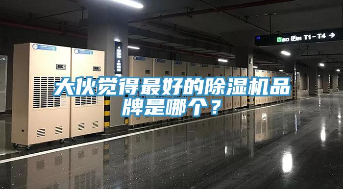 大伙覺(jué)得最好的除濕機(jī)品牌是哪個(gè)？
