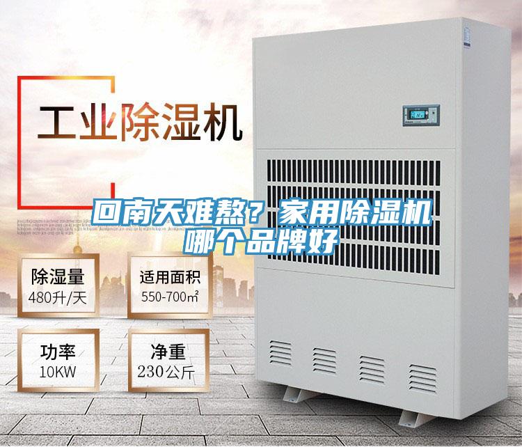 回南天難熬？家用除濕機(jī)哪個(gè)品牌好