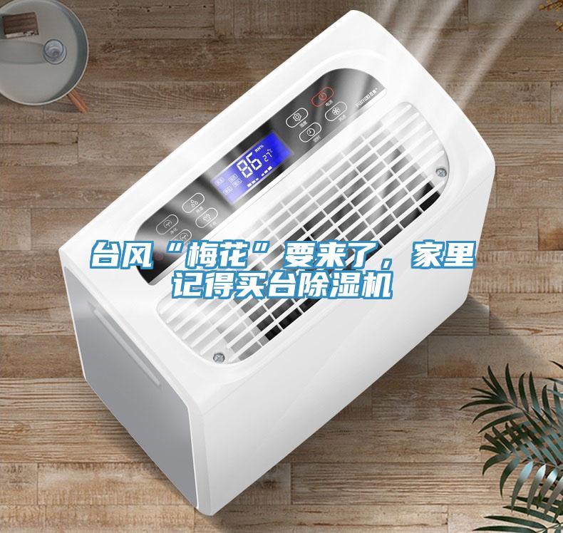 臺風“梅花”要來了，家里記得買臺除濕機