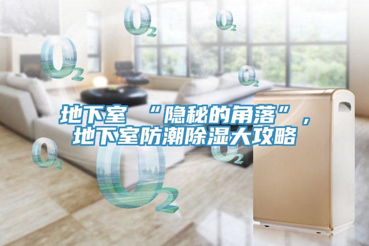 地下室≠“隱秘的角落”，地下室防潮除濕大攻略