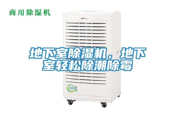 地下室除濕機(jī)，地下室輕松除潮除霉