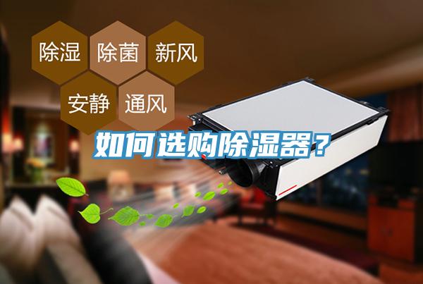 如何選購除濕器？
