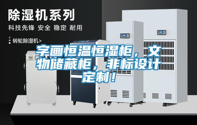 字畫恒溫恒濕柜，文物儲(chǔ)藏柜，非標(biāo)設(shè)計(jì)定制！