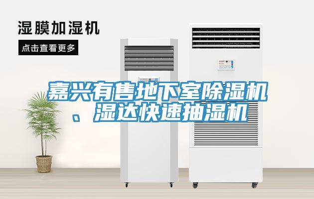 嘉興有售地下室除濕機、濕達(dá)快速抽濕機