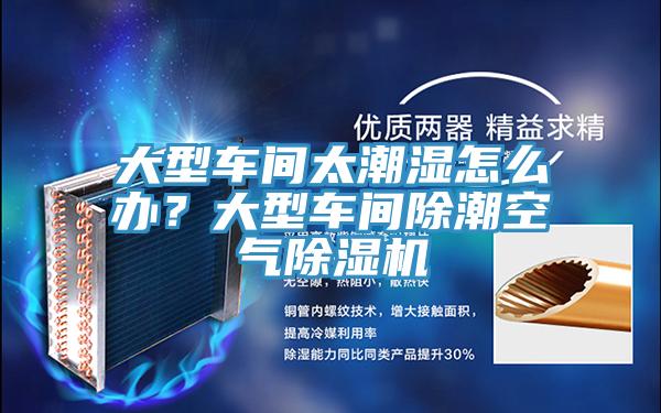 大型車間太潮濕怎么辦？大型車間除潮空氣除濕機