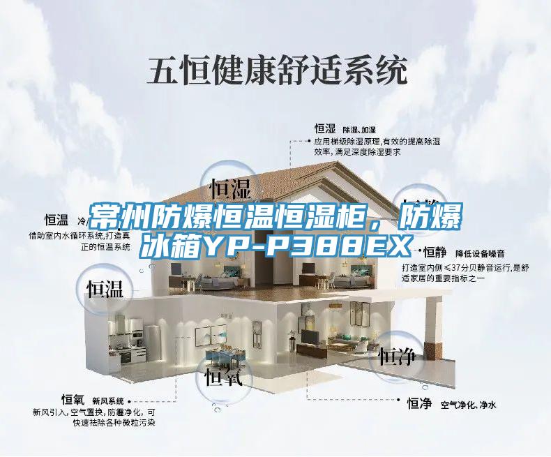常州防爆恒溫恒濕柜，防爆冰箱YP-P388EX