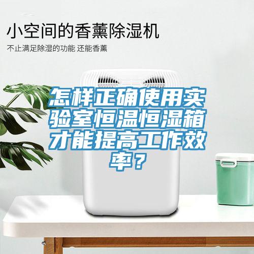 怎樣正確使用實驗室恒溫恒濕箱才能提高工作效率？