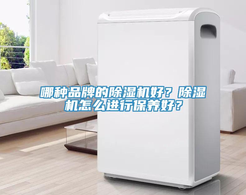 哪種品牌的除濕機(jī)好？除濕機(jī)怎么進(jìn)行保養(yǎng)好？