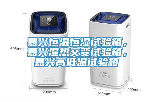 嘉興恒溫恒濕試驗(yàn)箱，嘉興濕熱交變?cè)囼?yàn)箱，嘉興高低溫試驗(yàn)箱