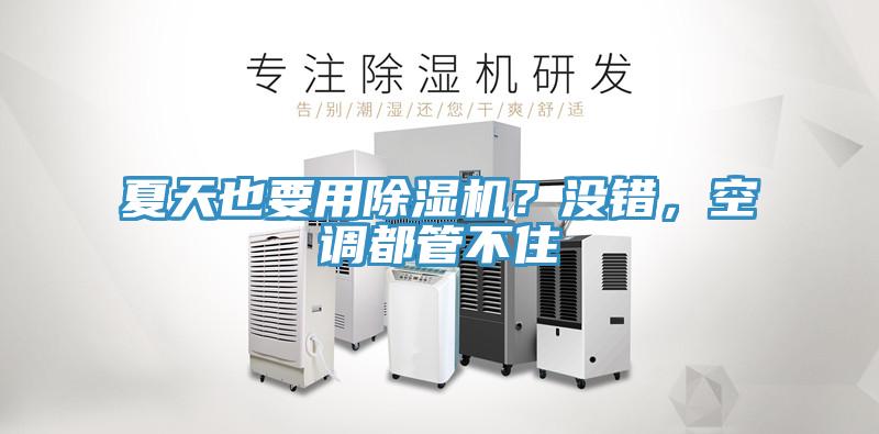 夏天也要用除濕機(jī)？沒錯(cuò)，空調(diào)都管不住