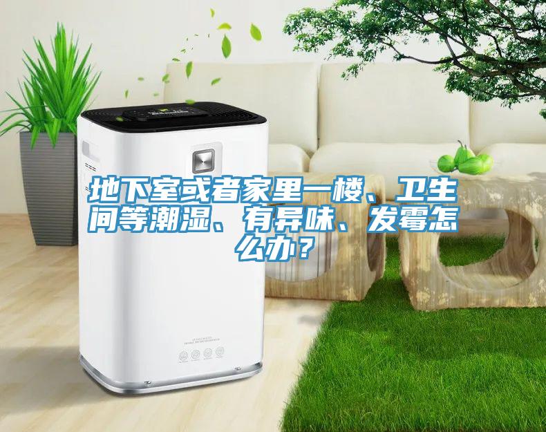地下室或者家里一樓、衛(wèi)生間等潮濕、有異味、發(fā)霉怎么辦？