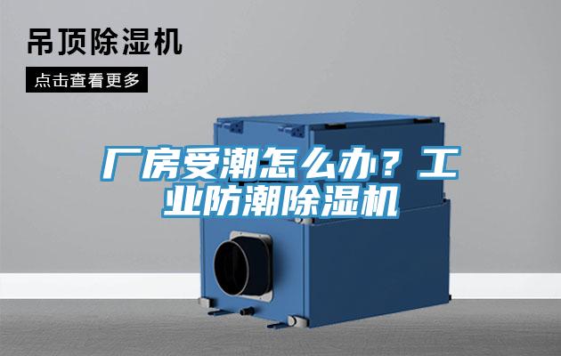 廠房受潮怎么辦？工業(yè)防潮除濕機