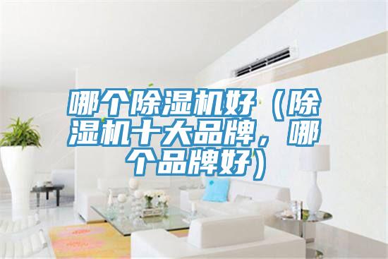 哪個(gè)除濕機(jī)好（除濕機(jī)十大品牌，哪個(gè)品牌好）