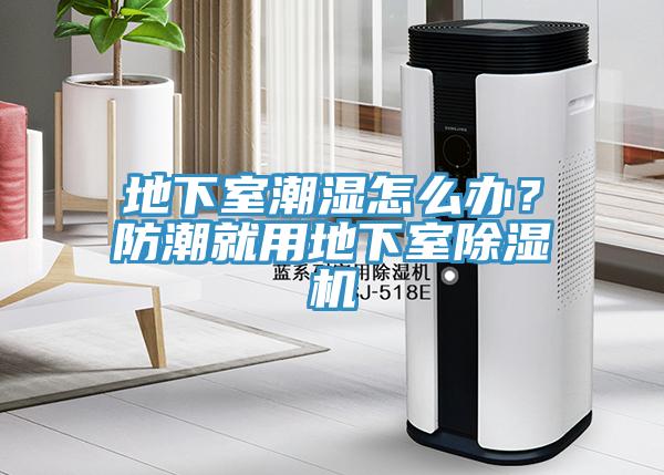 地下室潮濕怎么辦？防潮就用地下室除濕機(jī)