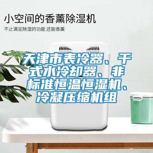 天津市表冷器、干式水冷卻器、非標(biāo)準(zhǔn)恒溫恒濕機(jī)、冷凝壓縮機(jī)組