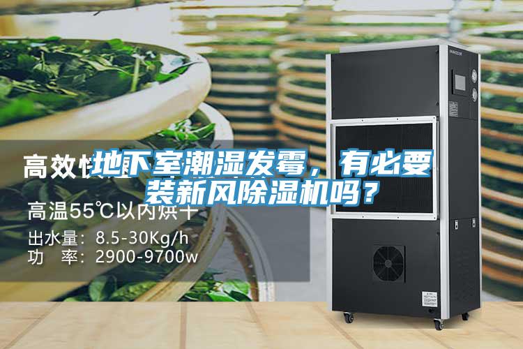 地下室潮濕發(fā)霉，有必要裝新風(fēng)除濕機(jī)嗎？