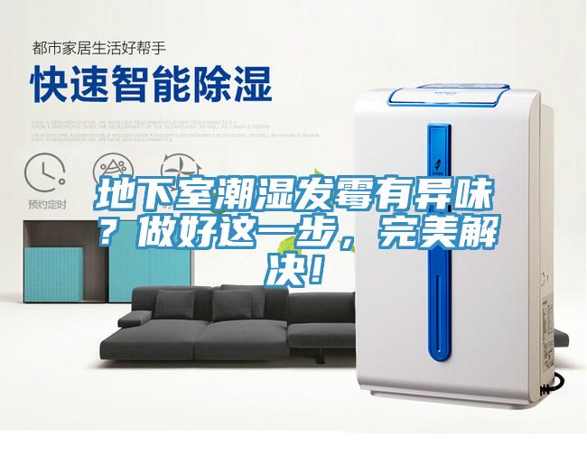 地下室潮濕發(fā)霉有異味？做好這一步，完美解決！