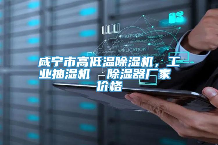 咸寧市高低溫除濕機，工業(yè)抽濕機  除濕器廠家 價格