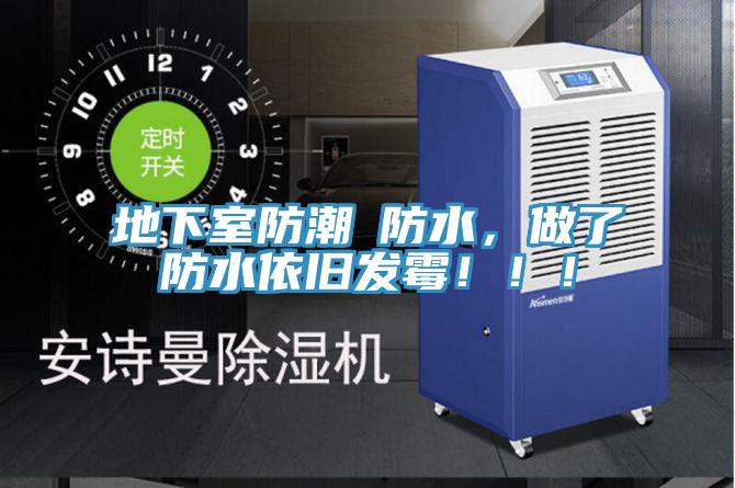 地下室防潮≠防水，做了防水依舊發(fā)霉！??！