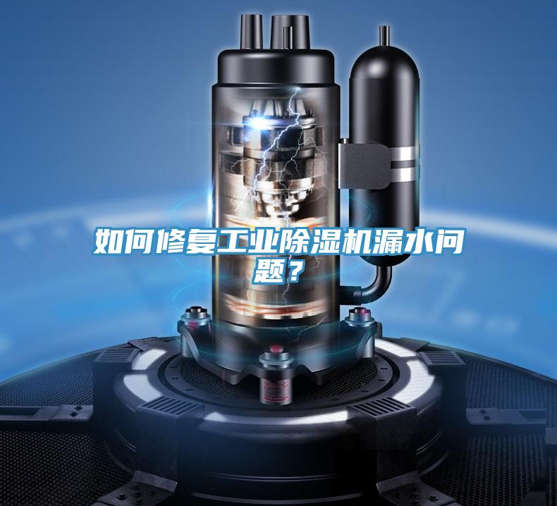 如何修復(fù)工業(yè)除濕機(jī)漏水問題？