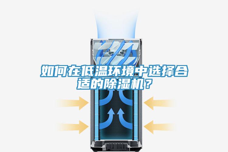 如何在低溫環(huán)境中選擇合適的除濕機？