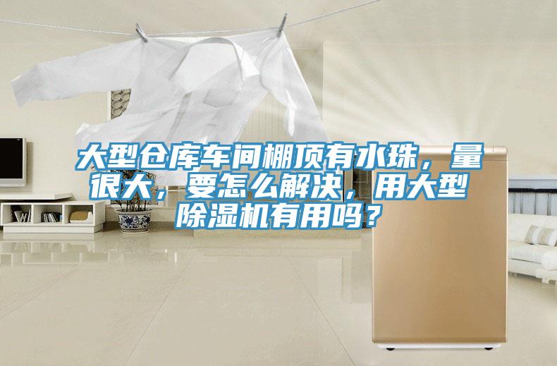 大型倉(cāng)庫(kù)車間棚頂有水珠，量很大，要怎么解決，用大型除濕機(jī)有用嗎？