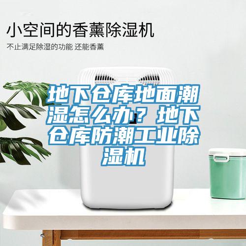 地下倉(cāng)庫(kù)地面潮濕怎么辦？地下倉(cāng)庫(kù)防潮工業(yè)除濕機(jī)