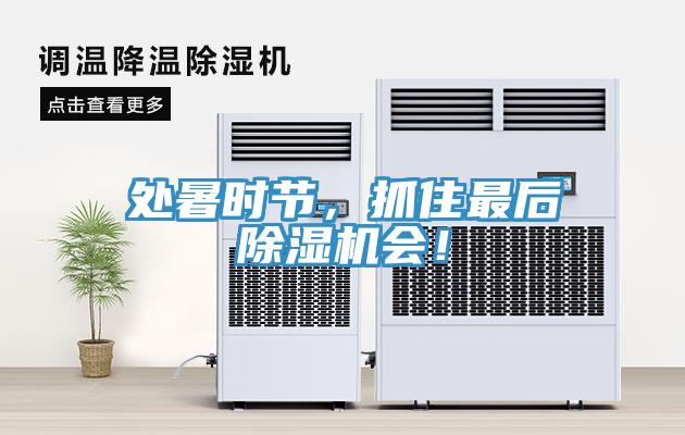 處暑時(shí)節(jié)，抓住最后除濕機(jī)會(huì)！