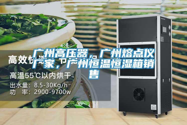 廣州高壓器，廣州熔點(diǎn)儀廠家，廣州恒溫恒濕箱銷售