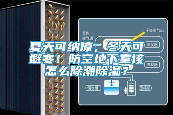夏天可納涼，冬天可避寒！防空地下室該怎么除潮除濕？