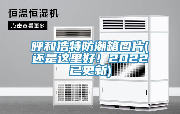 呼和浩特防潮箱圖片(還是這里好！2022已更新)