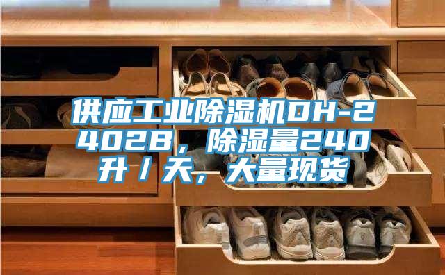 供應(yīng)工業(yè)除濕機(jī)DH-2402B，除濕量240升／天，大量現(xiàn)貨