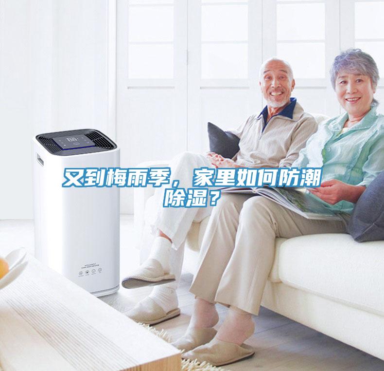 又到梅雨季，家里如何防潮除濕？