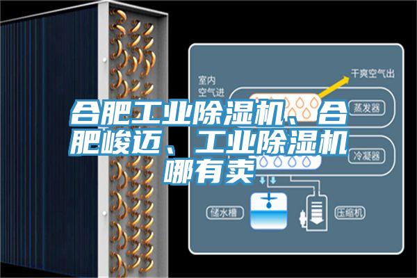 合肥工業(yè)除濕機、合肥峻邁、工業(yè)除濕機哪有賣