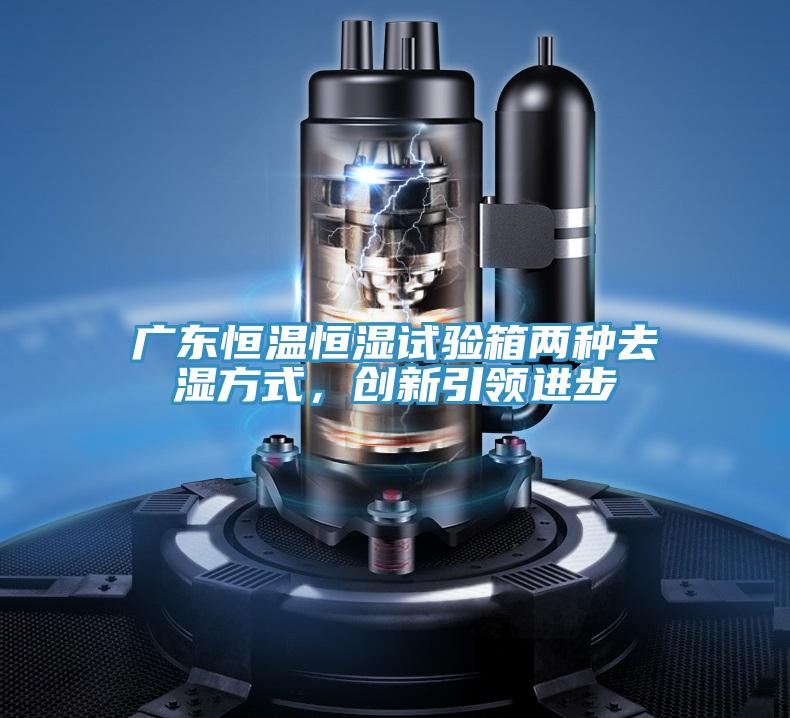 廣東恒溫恒濕試驗(yàn)箱兩種去濕方式，創(chuàng)新引領(lǐng)進(jìn)步