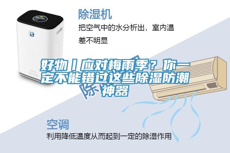 好物丨應對梅雨季？你一定不能錯過這些除濕防潮神器