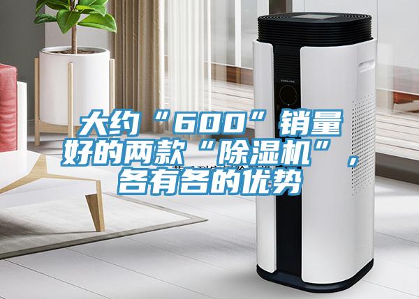 大約“600”銷量好的兩款“除濕機(jī)”，各有各的優(yōu)勢(shì)