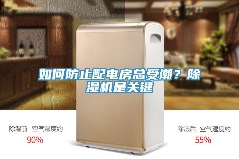 如何防止配電房總受潮？除濕機是關鍵