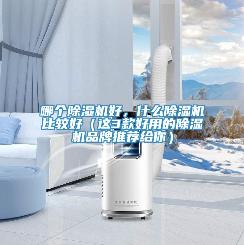 哪個(gè)除濕機(jī)好，什么除濕機(jī)比較好（這3款好用的除濕機(jī)品牌推薦給你）