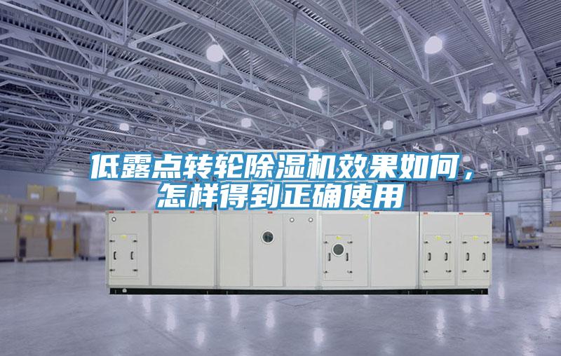 低露點(diǎn)轉(zhuǎn)輪除濕機(jī)效果如何，怎樣得到正確使用