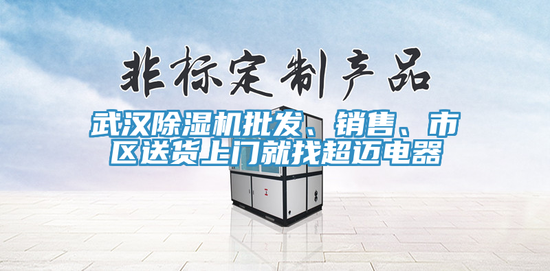 武漢除濕機批發(fā)、銷售、市區(qū)送貨上門就找超邁電器