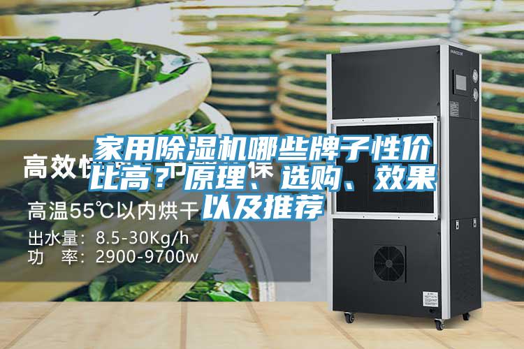 家用除濕機哪些牌子性價比高？原理、選購、效果以及推薦
