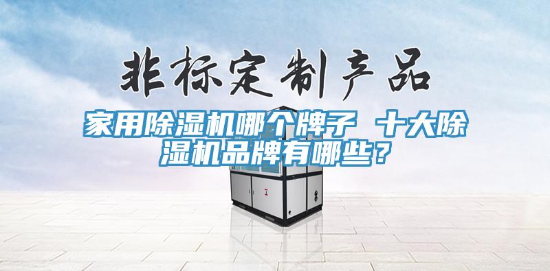 家用除濕機(jī)哪個(gè)牌子 十大除濕機(jī)品牌有哪些？