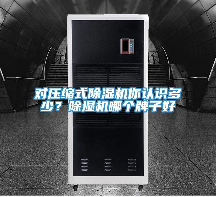 對壓縮式除濕機你認識多少？除濕機哪個牌子好