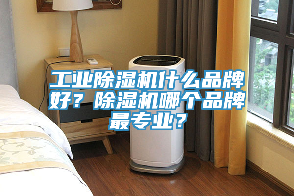 工業(yè)除濕機(jī)什么品牌好？除濕機(jī)哪個(gè)品牌最專業(yè)？