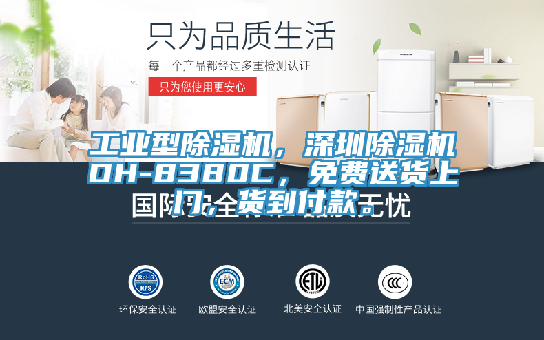 工業(yè)型除濕機(jī)，深圳除濕機(jī)DH-8380C，免費送貨上門，貨到付款。