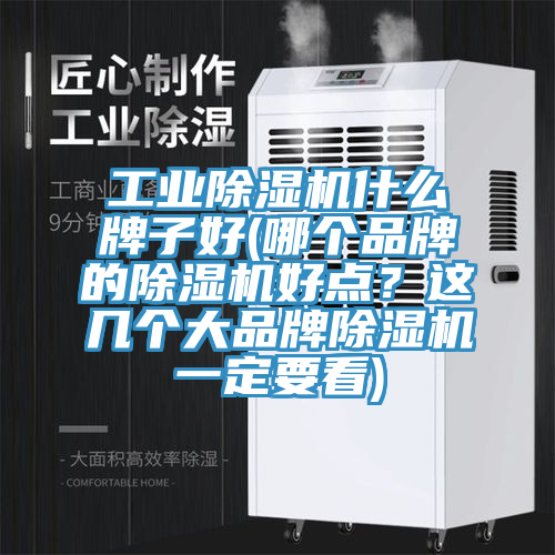 工業(yè)除濕機(jī)什么牌子好(哪個(gè)品牌的除濕機(jī)好點(diǎn)？這幾個(gè)大品牌除濕機(jī)一定要看)